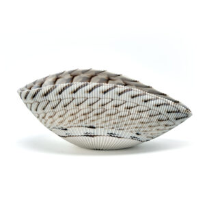 Murano Glass Ivory Large Shell Bowl